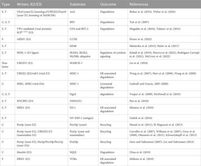 Deciphering non-canonical ubiquitin signaling: biology and methodology